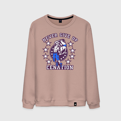 Мужской свитшот WWE Never Give Up / Пыльно-розовый – фото 1