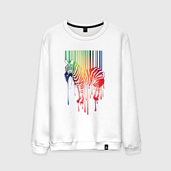 Мужской свитшот Color zebra