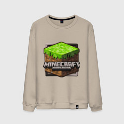 Мужской свитшот Minecraft: Pocket Edition