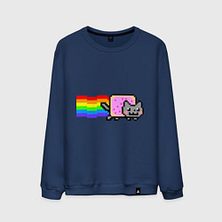 Мужской свитшот Nyan Cat