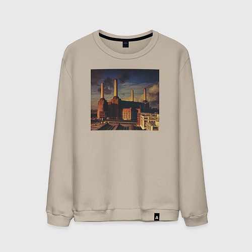 Мужской свитшот Pink Floyd: Animals / Миндальный – фото 1