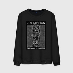 Мужской свитшот Joy Division: Unknown Pleasures