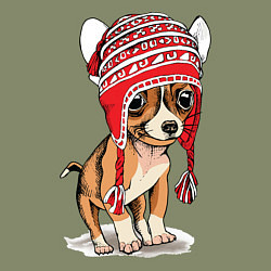 Свитшот хлопковый мужской Чихуахуа в шапочке, цвет: авокадо — фото 2