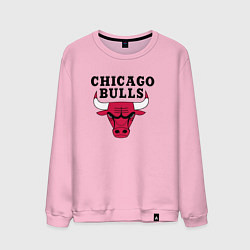 Свитшот хлопковый мужской Chicago Bulls, цвет: светло-розовый