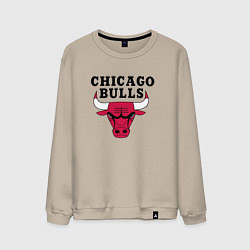 Мужской свитшот Chicago Bulls