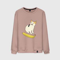 Мужской свитшот Cat no banana meme