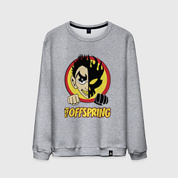 Мужской свитшот The Offspring Boy