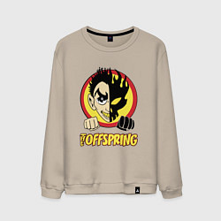 Мужской свитшот The Offspring Boy