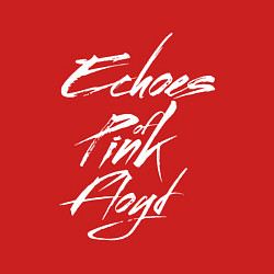 Свитшот хлопковый мужской Echoes of Pink Floyd, цвет: красный — фото 2