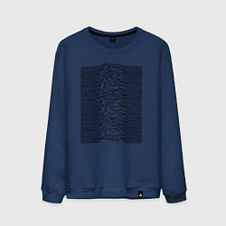 Мужской свитшот Unknown Pleasures