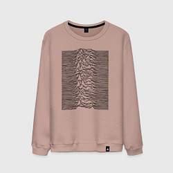 Мужской свитшот Unknown Pleasures