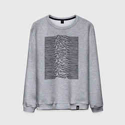 Свитшот хлопковый мужской Unknown Pleasures, цвет: меланж