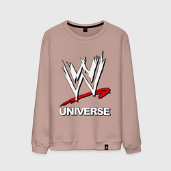 Мужской свитшот WWE universe