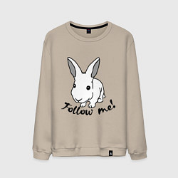 Мужской свитшот Rabbit: follow me