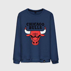 Мужской свитшот Chicago Bulls