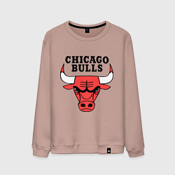 Свитшот хлопковый мужской Chicago Bulls, цвет: пыльно-розовый