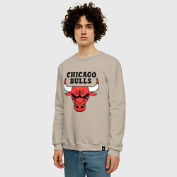 Свитшот хлопковый мужской Chicago Bulls, цвет: миндальный — фото 2