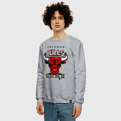 Свитшот хлопковый мужской Chicago Bulls est. 1966, цвет: меланж — фото 2