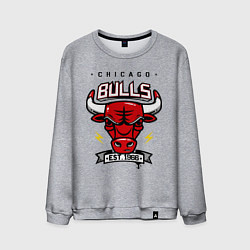 Свитшот хлопковый мужской Chicago Bulls est. 1966, цвет: меланж