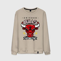 Свитшот хлопковый мужской Chicago Bulls est. 1966, цвет: миндальный