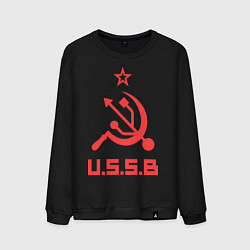 Мужской свитшот USSB