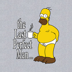 Свитшот хлопковый мужской The Last Perfect Man, цвет: меланж — фото 2