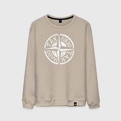 Мужской свитшот Taknado Stone Island