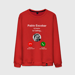 Свитшот хлопковый мужской Escobar is calling, цвет: красный