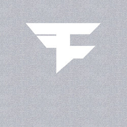 Свитшот хлопковый мужской FAZE Symbol, цвет: меланж — фото 2