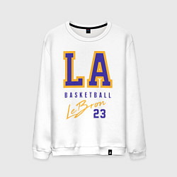 Мужской свитшот Lebron 23: Los Angeles