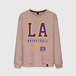 Мужской свитшот Lebron 23: Los Angeles