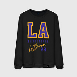 Мужской свитшот Lebron 23: Los Angeles