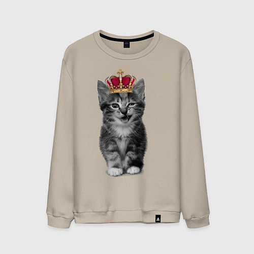 Мужской свитшот Meow kitten / Миндальный – фото 1