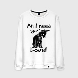 Мужской свитшот All i need is love