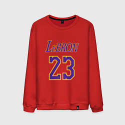 Мужской свитшот LeBron 23