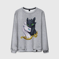 Свитшот хлопковый мужской Дневная и ночная фурия, цвет: меланж