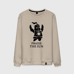 Мужской свитшот Praise the Sun