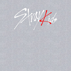 Свитшот хлопковый мужской STRAY KIDS FELIX, цвет: меланж — фото 2