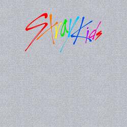 Свитшот хлопковый мужской STRAY KIDS АВТОГРАФЫ, цвет: меланж — фото 2