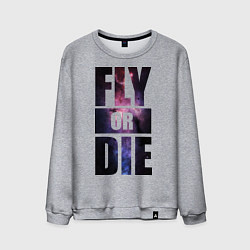 Свитшот хлопковый мужской Fly or Die: Space, цвет: меланж