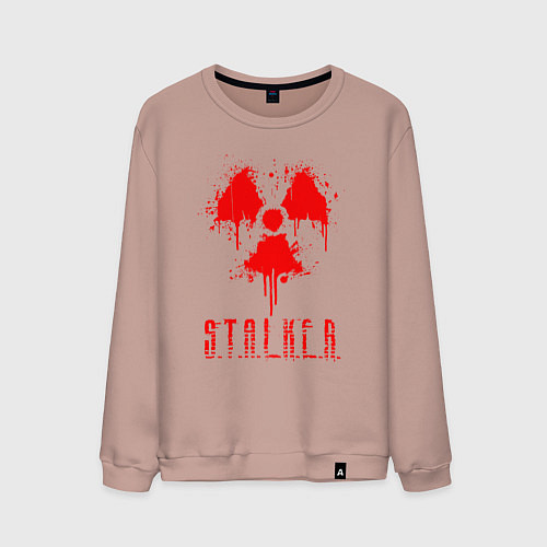 Мужской свитшот S T A L K E R 2 / Пыльно-розовый – фото 1