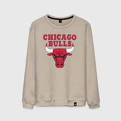 Мужской свитшот CHICAGO BULLS