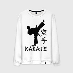 Мужской свитшот Karate craftsmanship