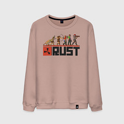 Мужской свитшот Evolution Rust