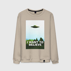 Мужской свитшот I WANT TO BELIEVE