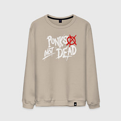 Мужской свитшот Punks not dead