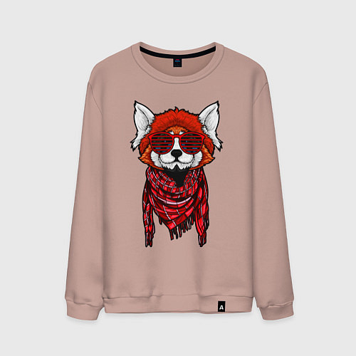 Мужской свитшот Красная панда / Пыльно-розовый – фото 1