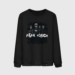 Мужской свитшот Papa roach