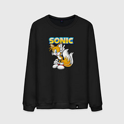 Мужской свитшот Sonic