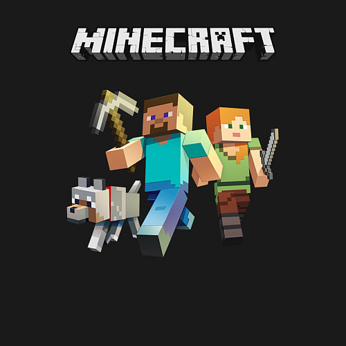 Мужской свитшот MINECRAFT / Черный – фото 3